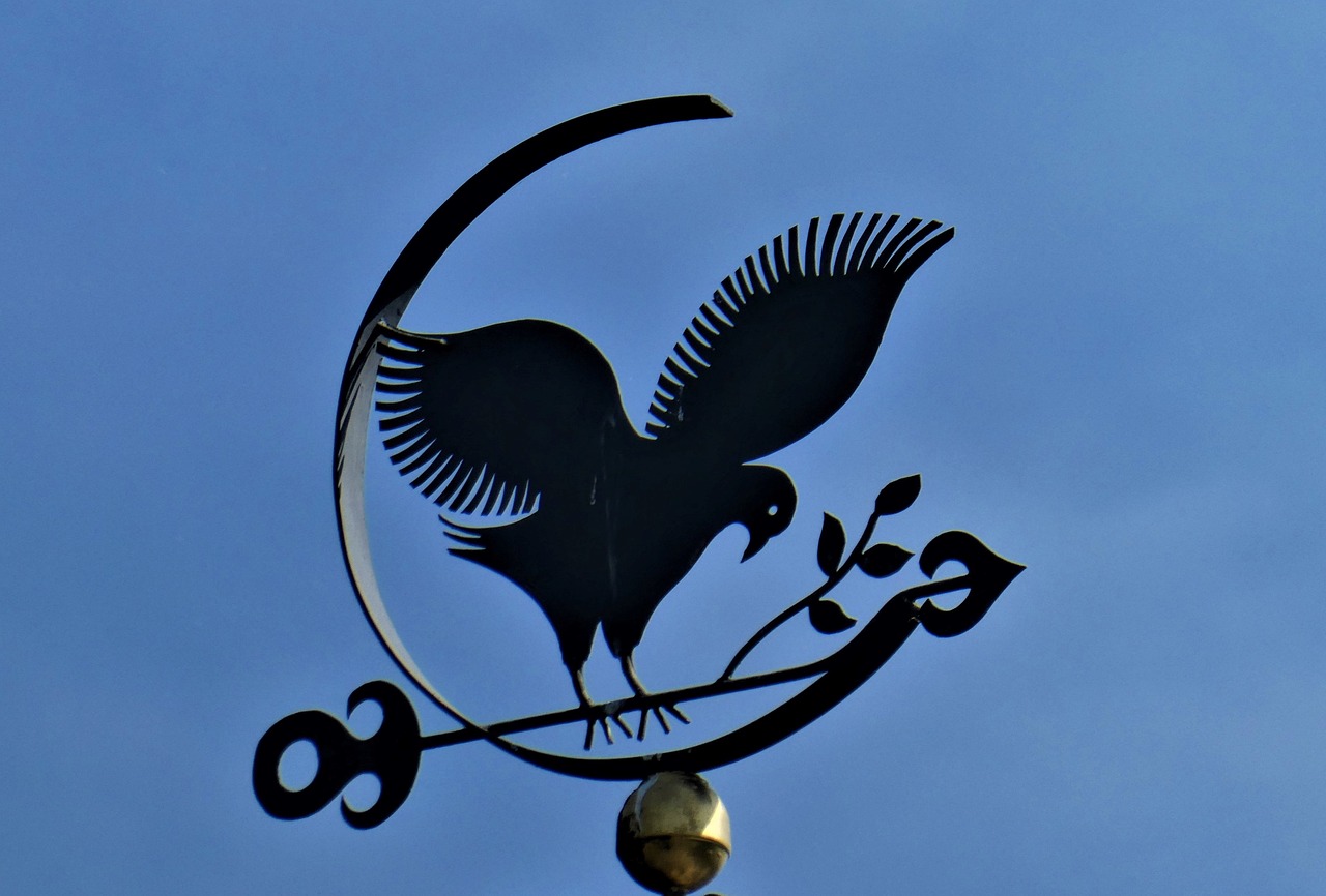 La girouette de toit : la touche néo-rétro !