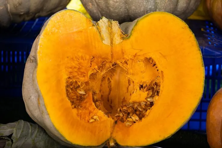 Recette de beurre corporel à la citrouille et aux épices