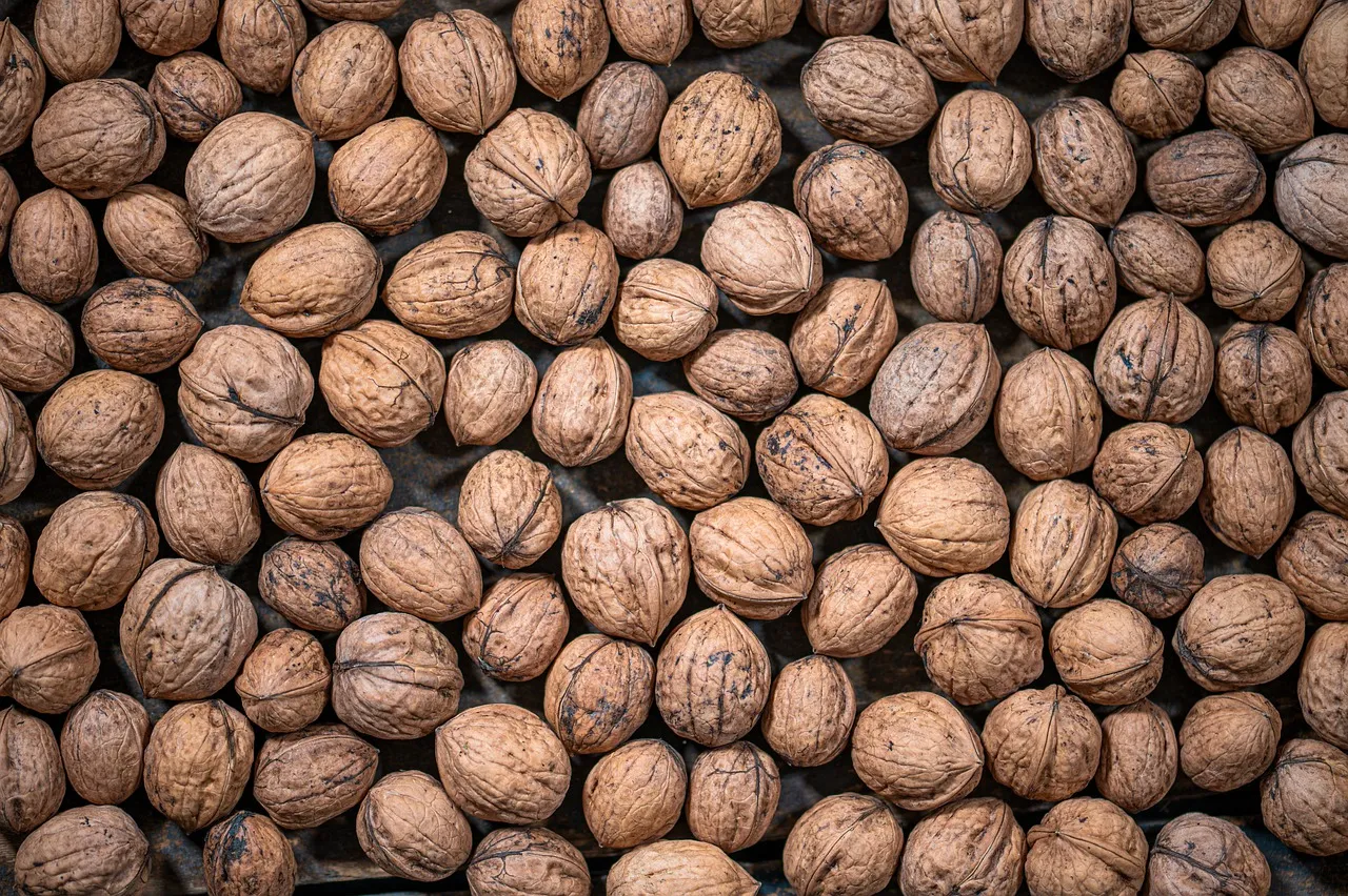 Comment les noix contribuent à l’équilibre nutritionnel féminin ?