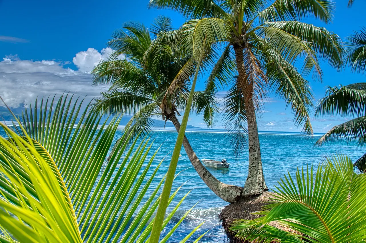 Destination paradisiaque : planifiez votre voyage de noces à Tahiti