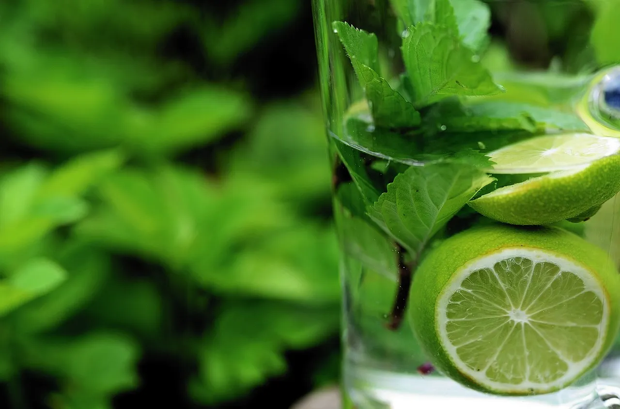 Le retour aux astuces d’antan : une tendance naturelle pour le bien-être
