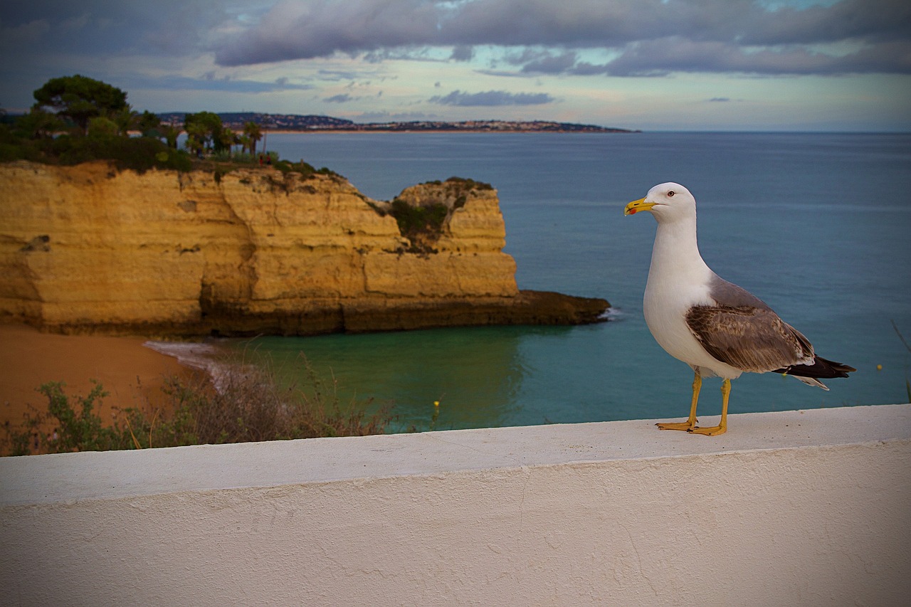 Comment adopter le style portugais chic pendant vos vacances à Albufeira ?