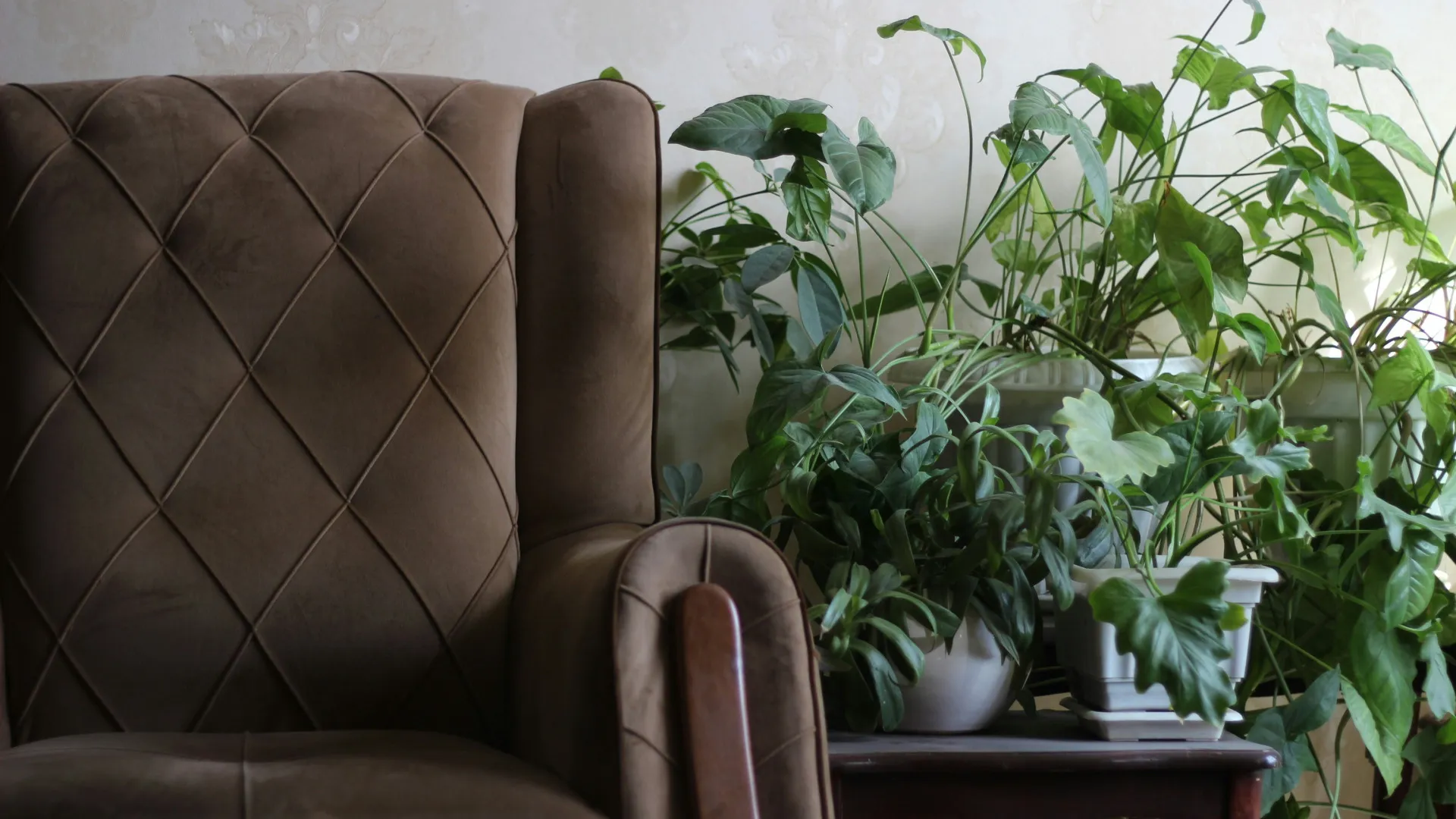 Le retour du fauteuil relax dans nos salons : Confort et design au rendez-vous
