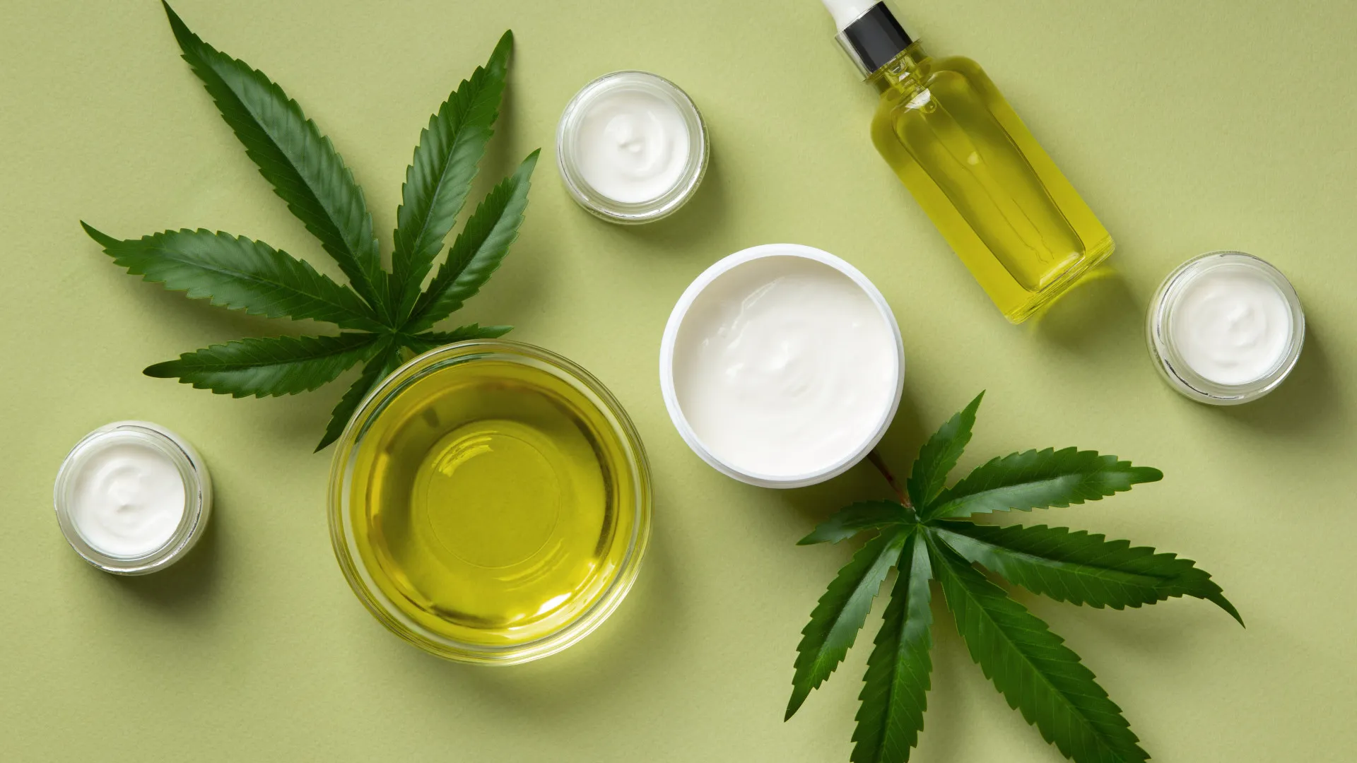 Le CBD, une filière verte en plein essor !
